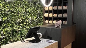 A reception desk with a modern design, a green wall with plants, and a series of shelves with items on them.