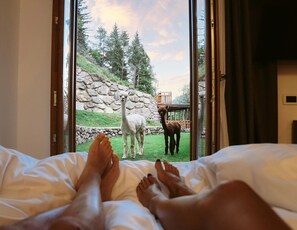 Premium bedding, down duvets, minibar, in-room safe