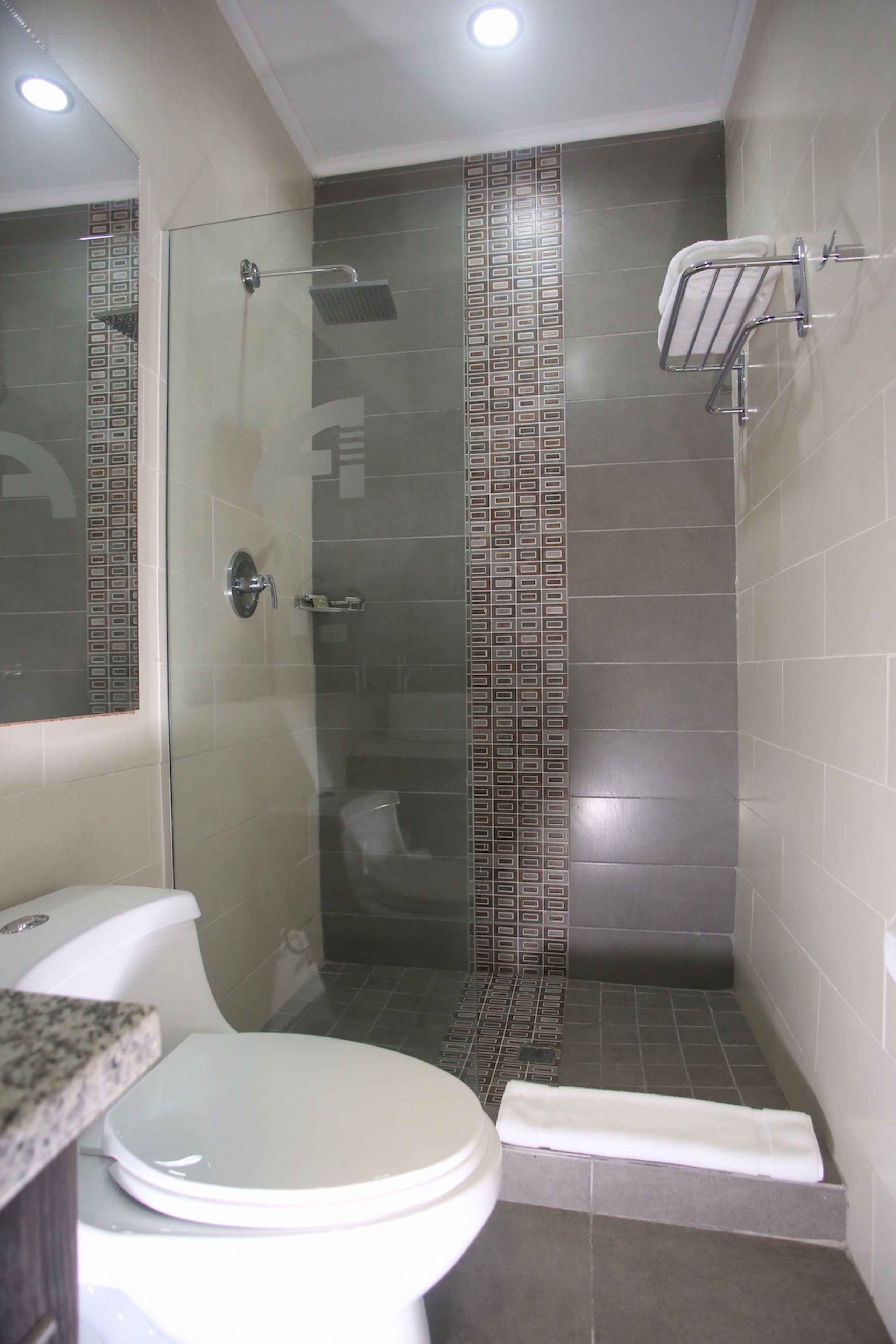 Une salle de bain comprenant des toilettes, une douche avec une porte en verre et un porte-serviettes.