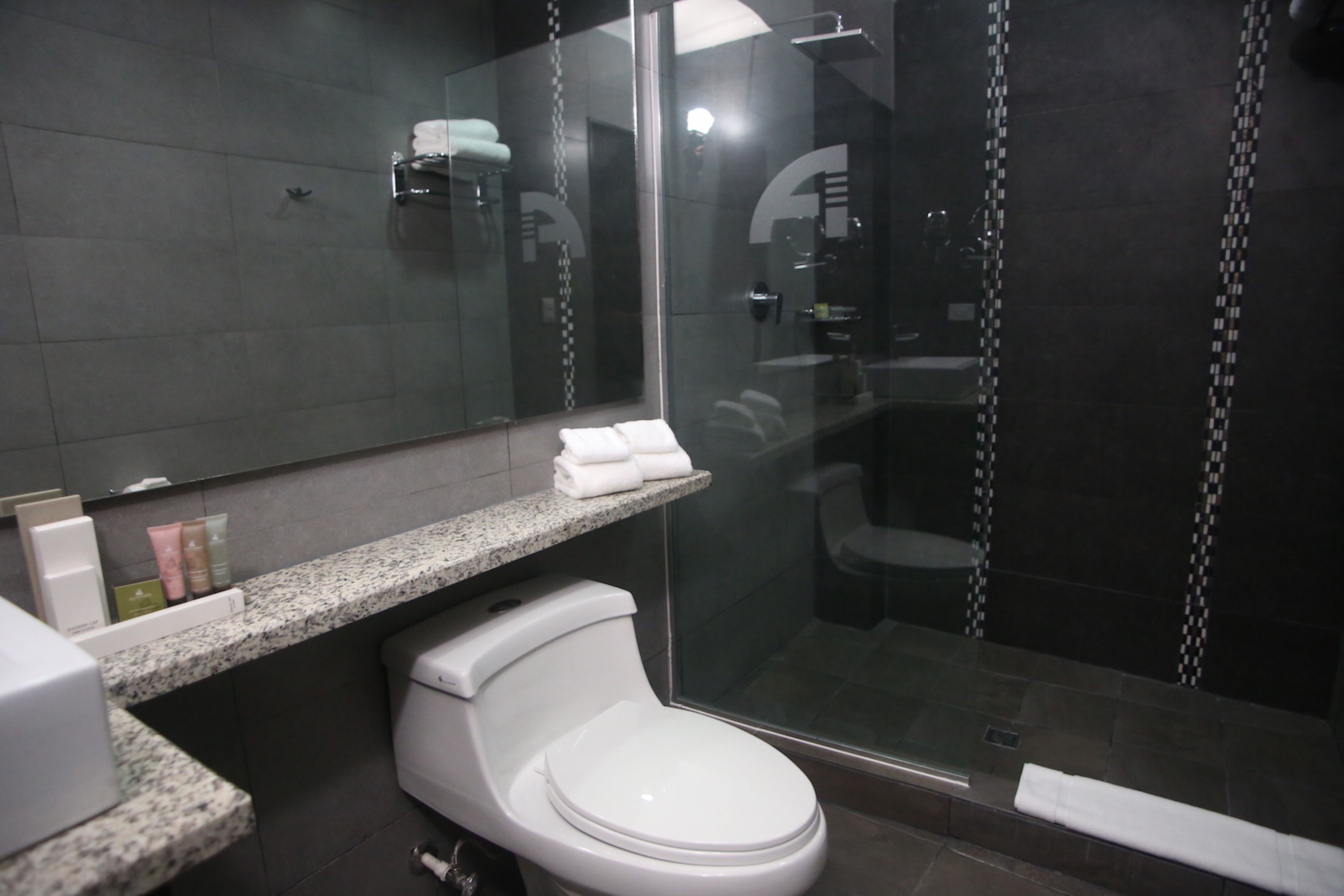 Une salle de bain moderne avec une douche à parois de verre, des toilettes blanches et un comptoir en marbre.