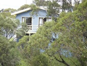 Een blauw huis omringd door weelderig groen.