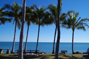 Property grounds - Tropical Beach Caravan Park (Bowen)