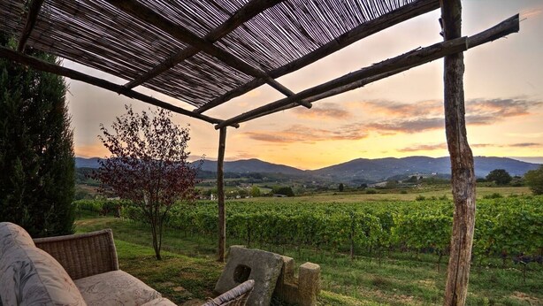 Un área de estar al aire libre con techo y vistas a un viñedo y montañas lejanas.
