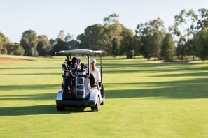 Carrito de golf