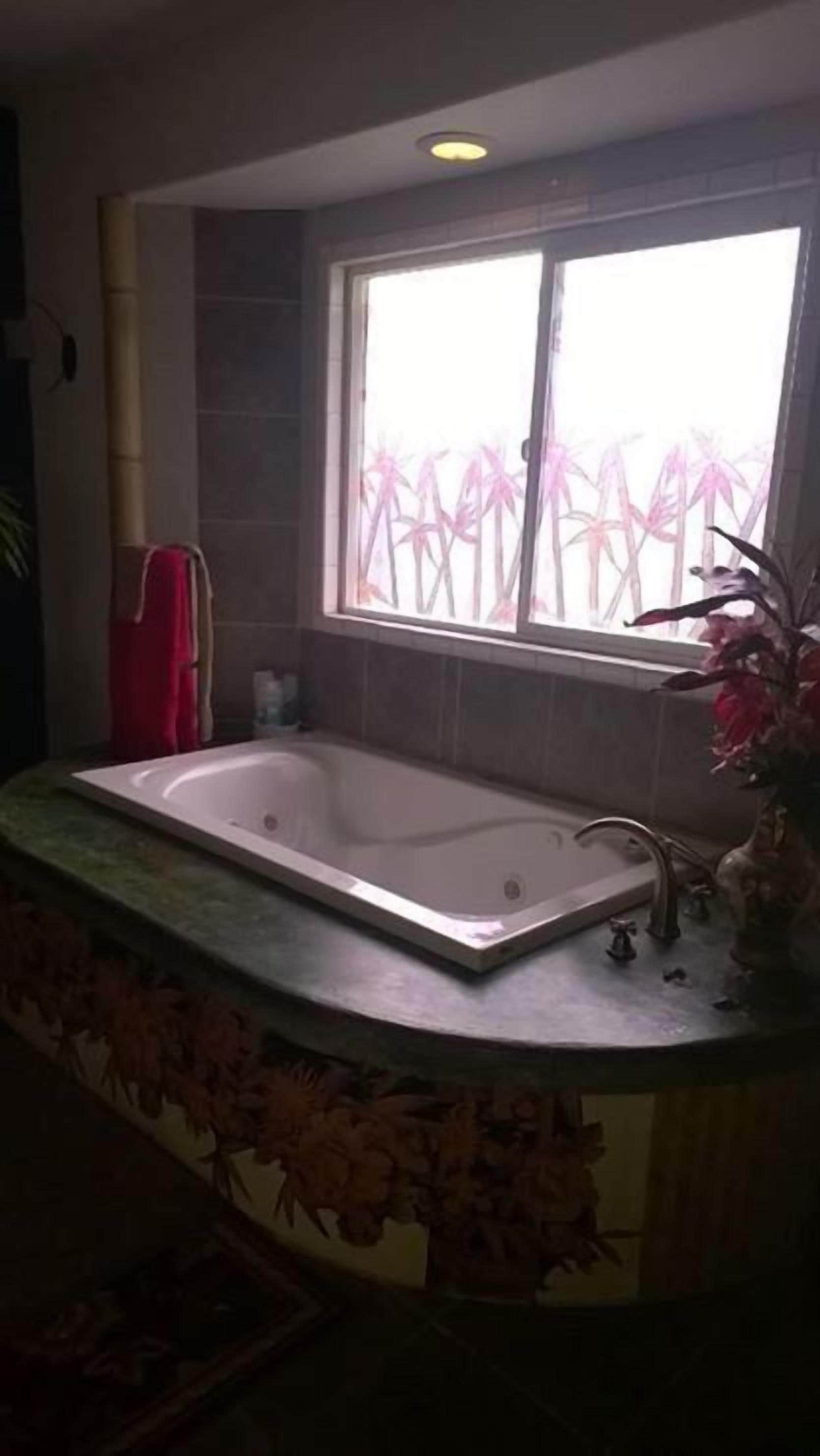 A bathroom with a large bathtub, a window with a view of palm trees, and a red towel hanging on the wall.