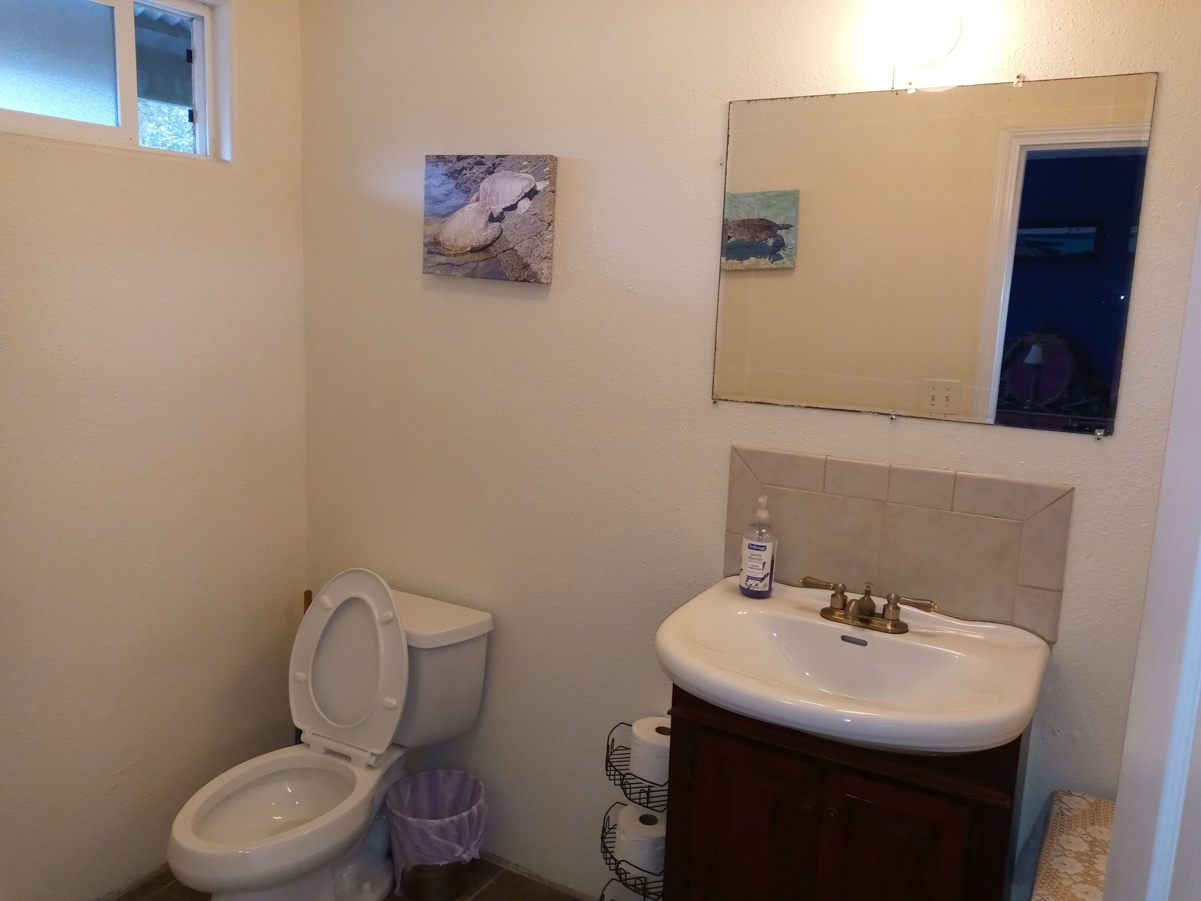 A bathroom with a toilet, sink, and two wall-mounted paintings.