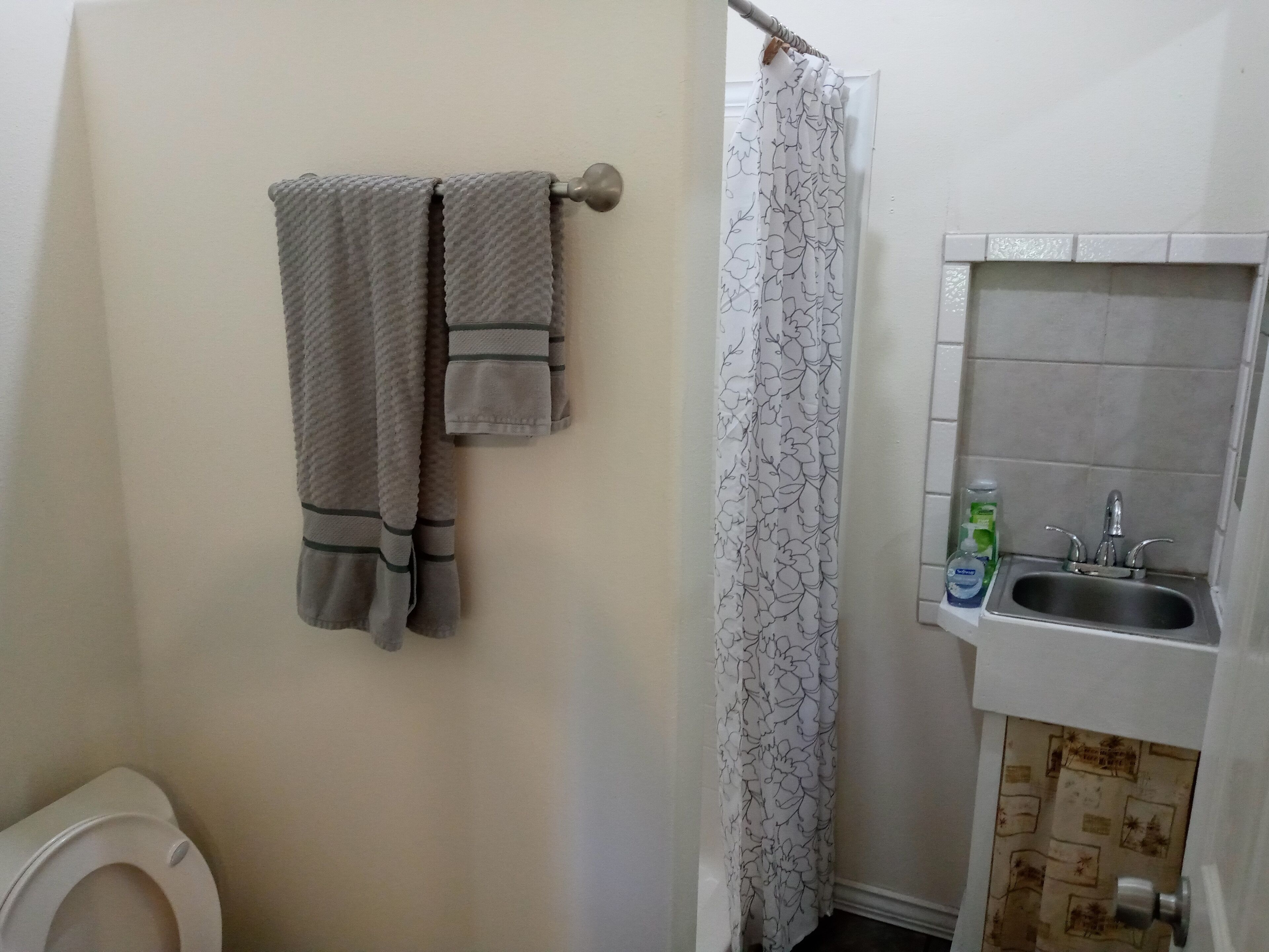 Un bagno con il water, un lavandino con specchio e una tenda per la doccia.