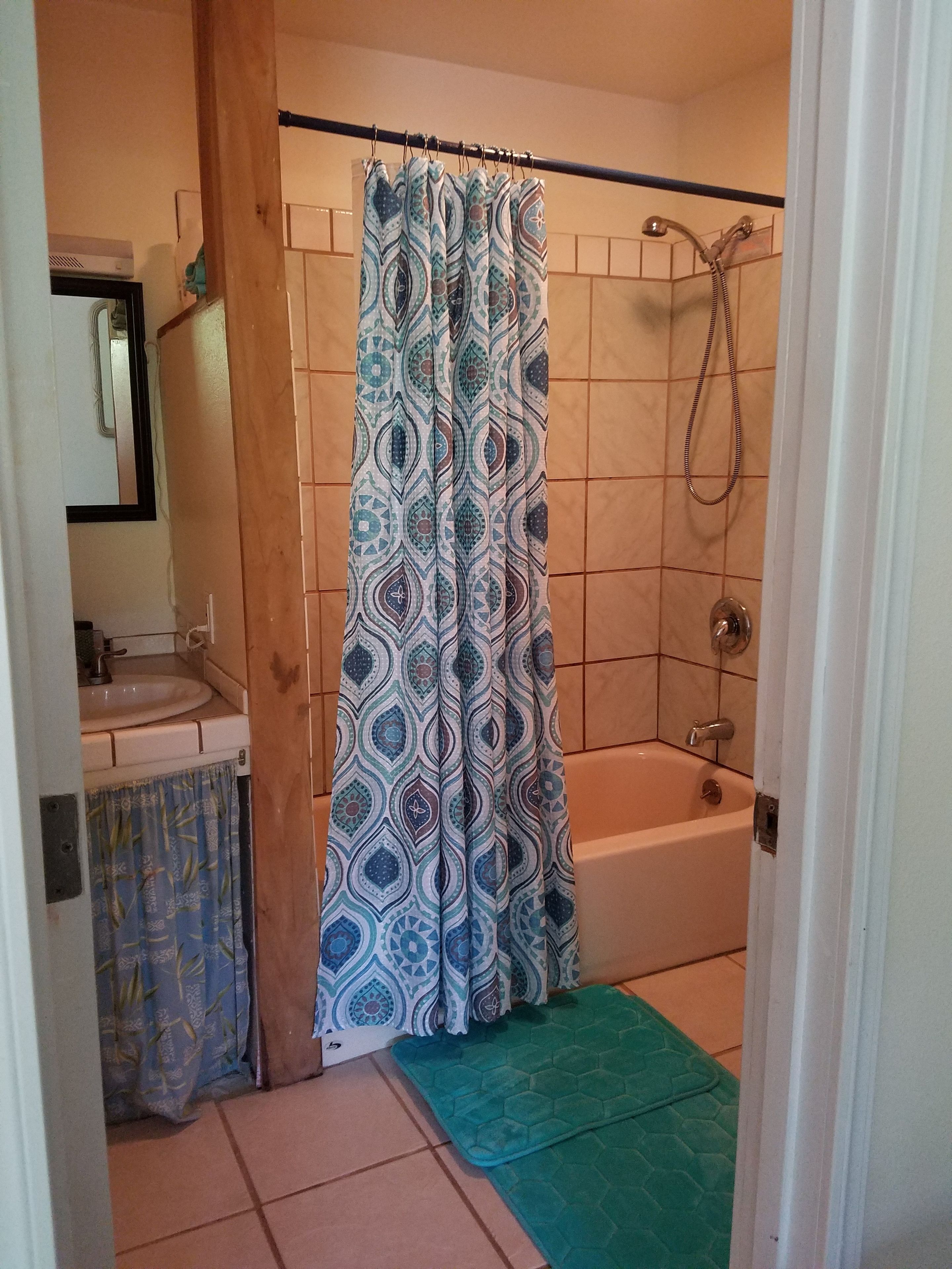 A bathroom with a shower, a sink, and a mirror.