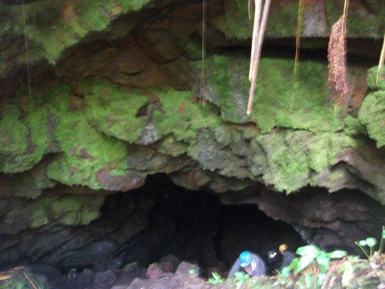 A cave entrance with moss-covered rocks and hanging vegetation.