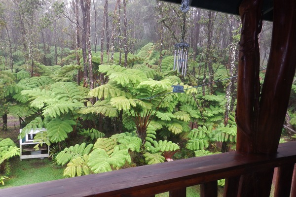 Family House, 2 Bedrooms, Garden View | View from room