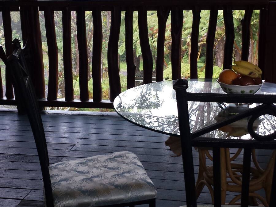 Een houten terras met tafel en stoelen, met uitzicht op een bebost gebied.