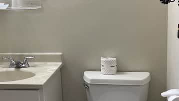 A bathroom with a toilet, sink, and a trash bin.