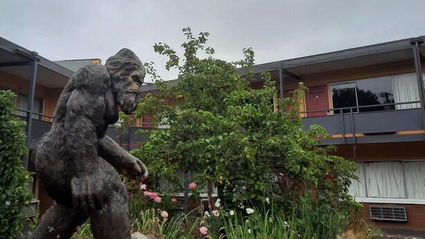 A statue of a man in a garden area with a building in the background. - Longview Inn (Longview)