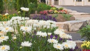 A building with a garden in front, featuring white flowers and various plants. - Fern Resort (Ramara)