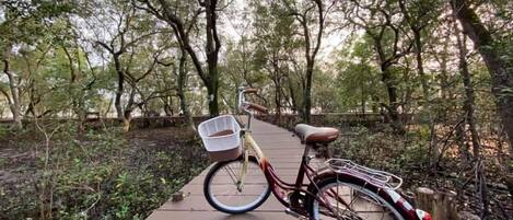 Una bicicleta estacionada sobre una pasarela de madera bordeada de árboles.