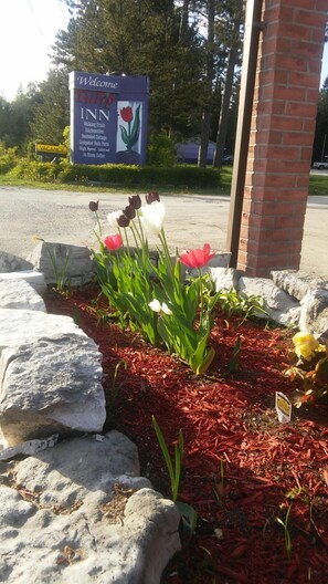 Front of property - Tulip Inn (Huntsville)