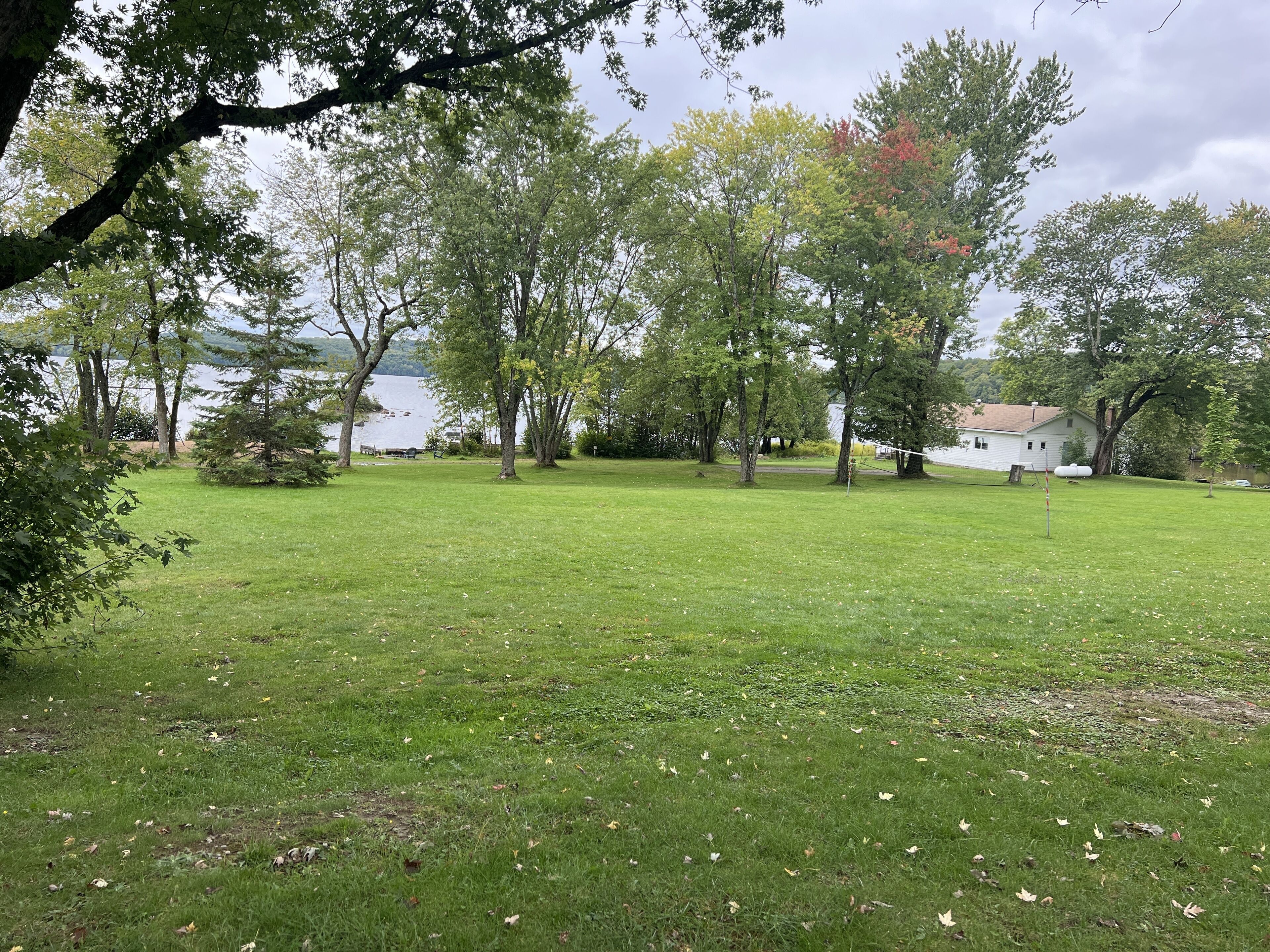 A grassy field with trees and a lake in the background.