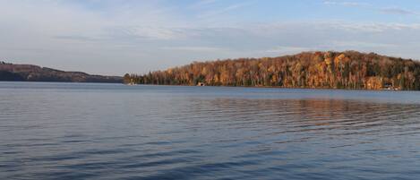 Järvi