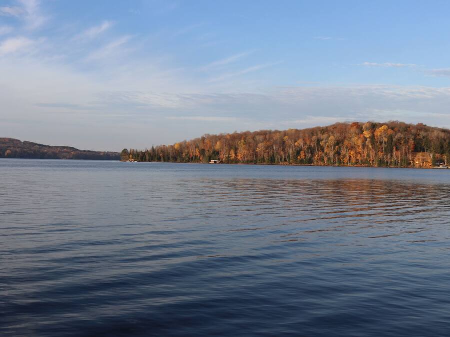 Un lac paisible, avec une île boisée en arrière-plan.