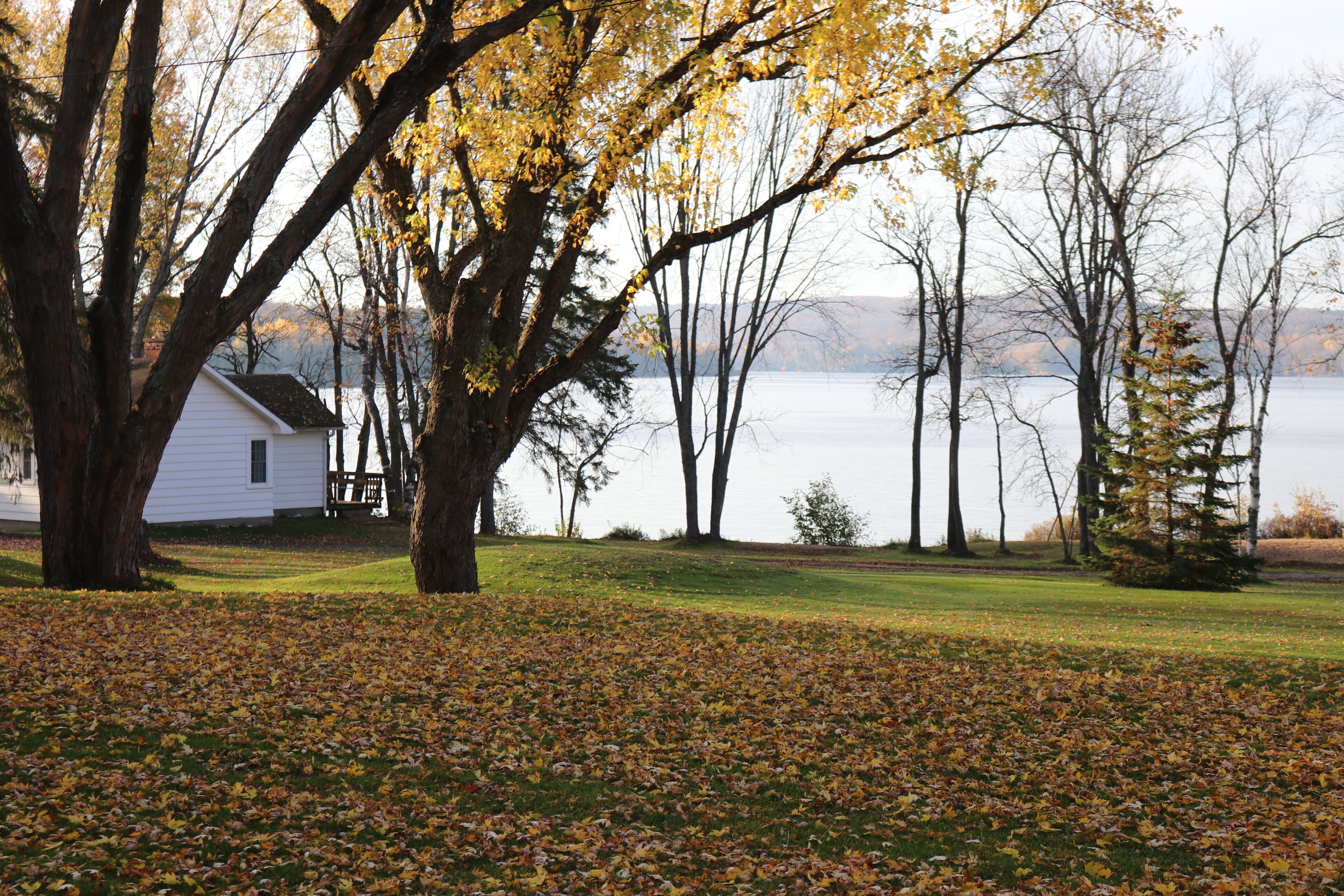 A house with a lawn and trees in the foreground.