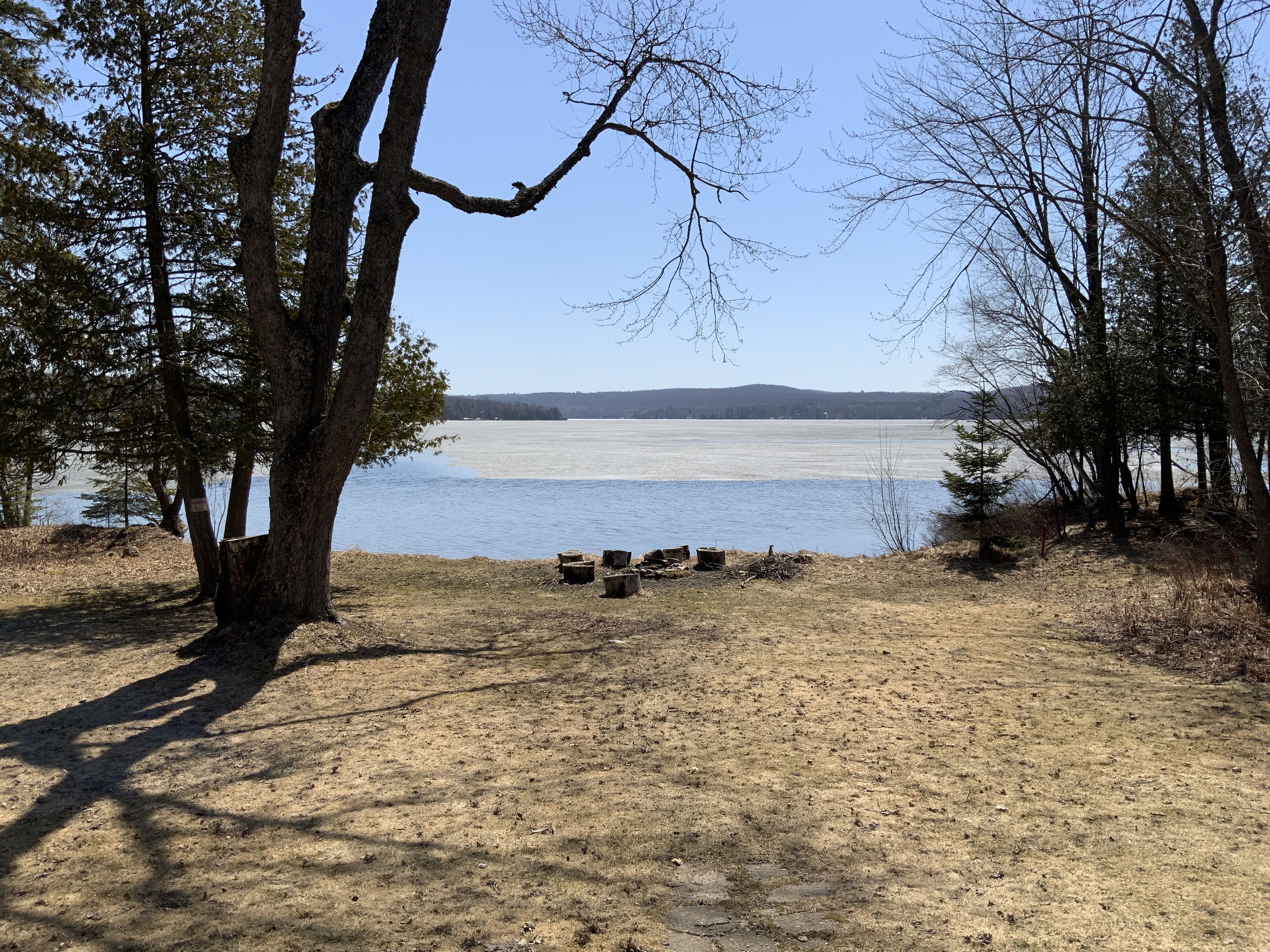 A lakeside campsite with trees, a clear sky, and a distant shoreline.