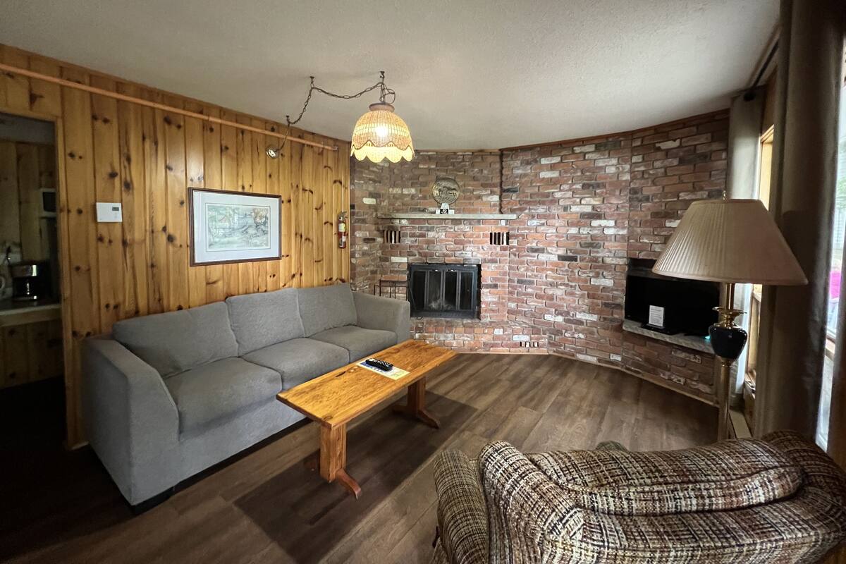 Standard Suite, 1 Bedroom, Fireplace, Lake View (Mapleview #3) | منطقة المعيشة | كُتُب، مكتبة فيديو
