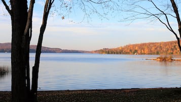 A calm lake with trees in the foreground and a forested hill in the background.