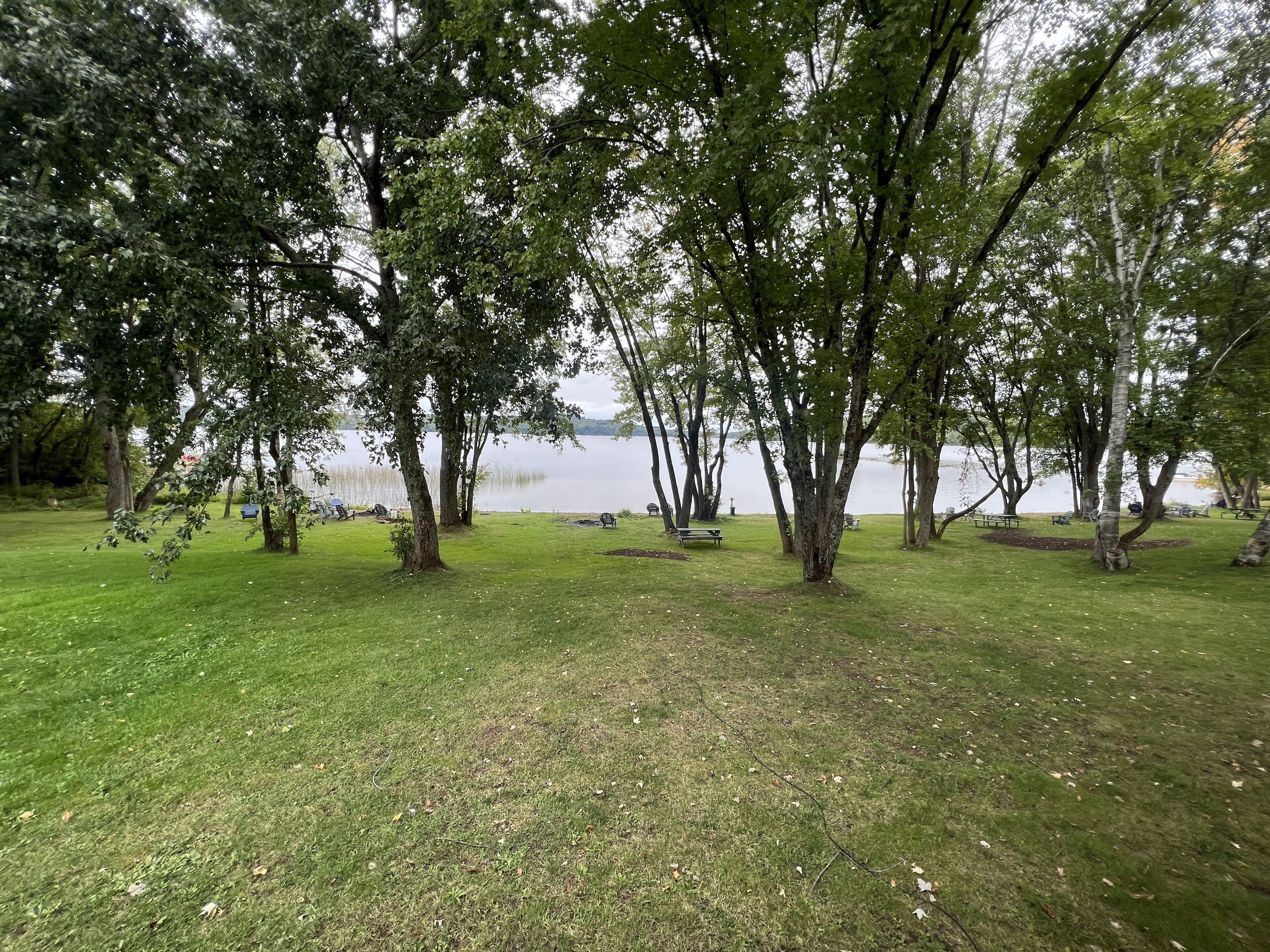 A park with trees, benches, and a lake.
