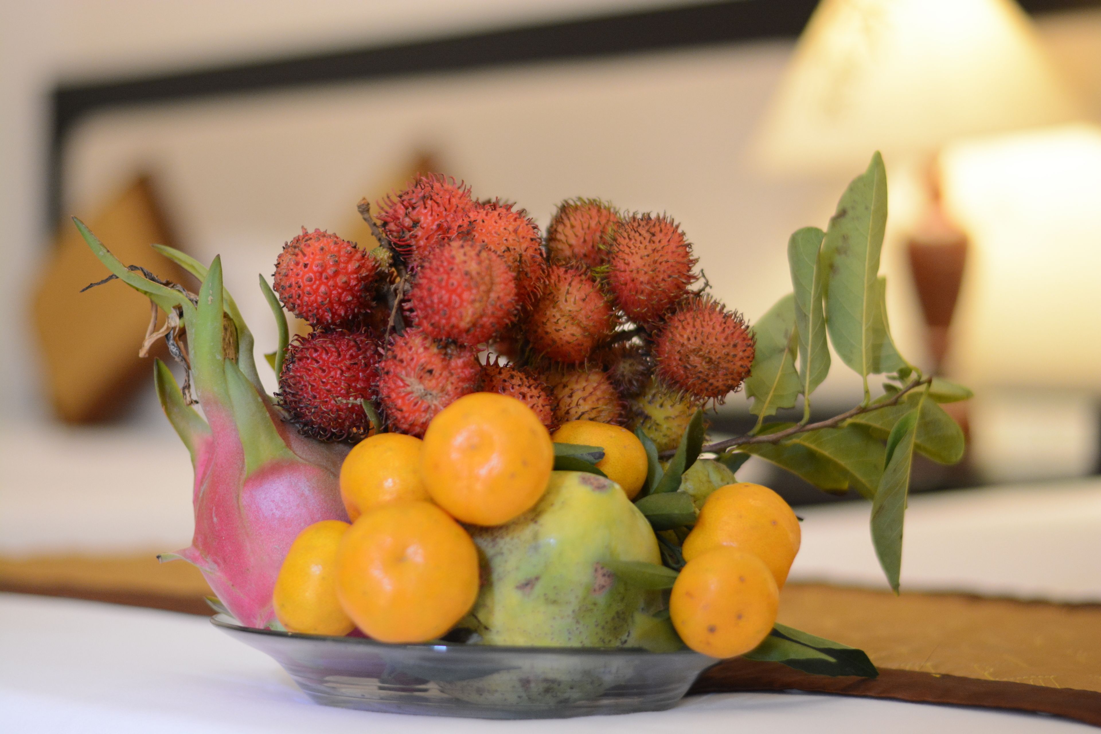 deluxe triple room, garden view | food and drink