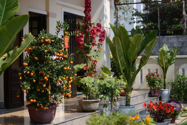 Garden - Han Thuyen Homestay (Da Nang)