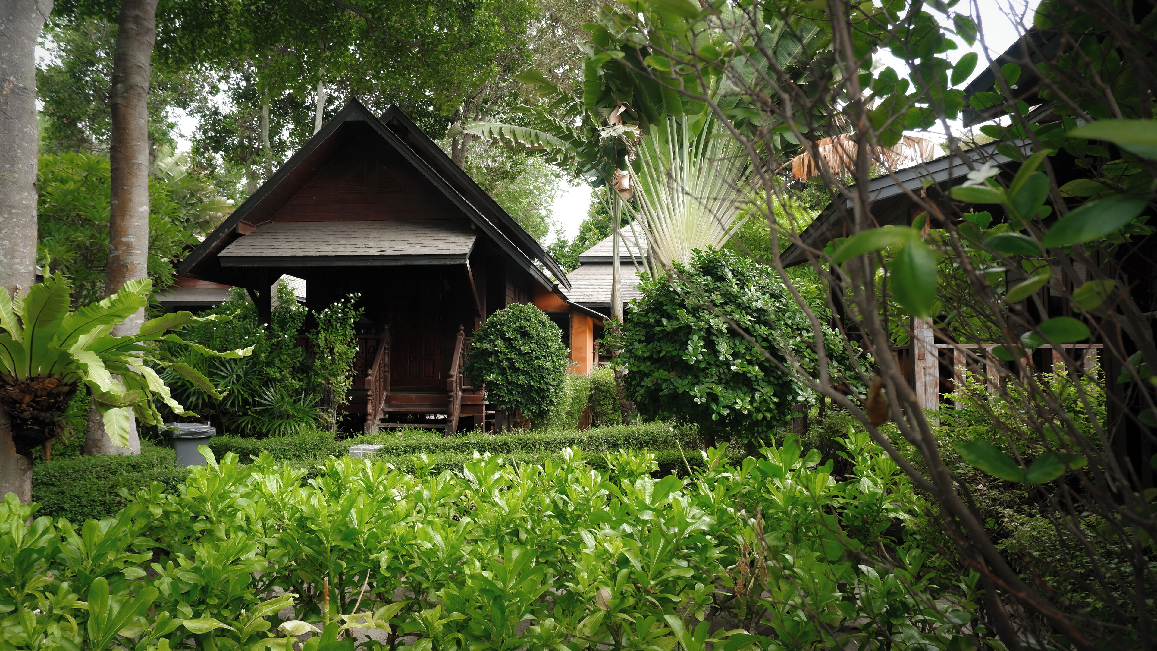 A traditional wooden structure with a sloped roof, surrounded by lush greenery and various plants.