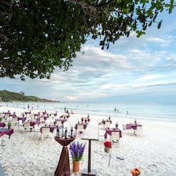 Lunch, dinner, brunch served; Thai cuisine