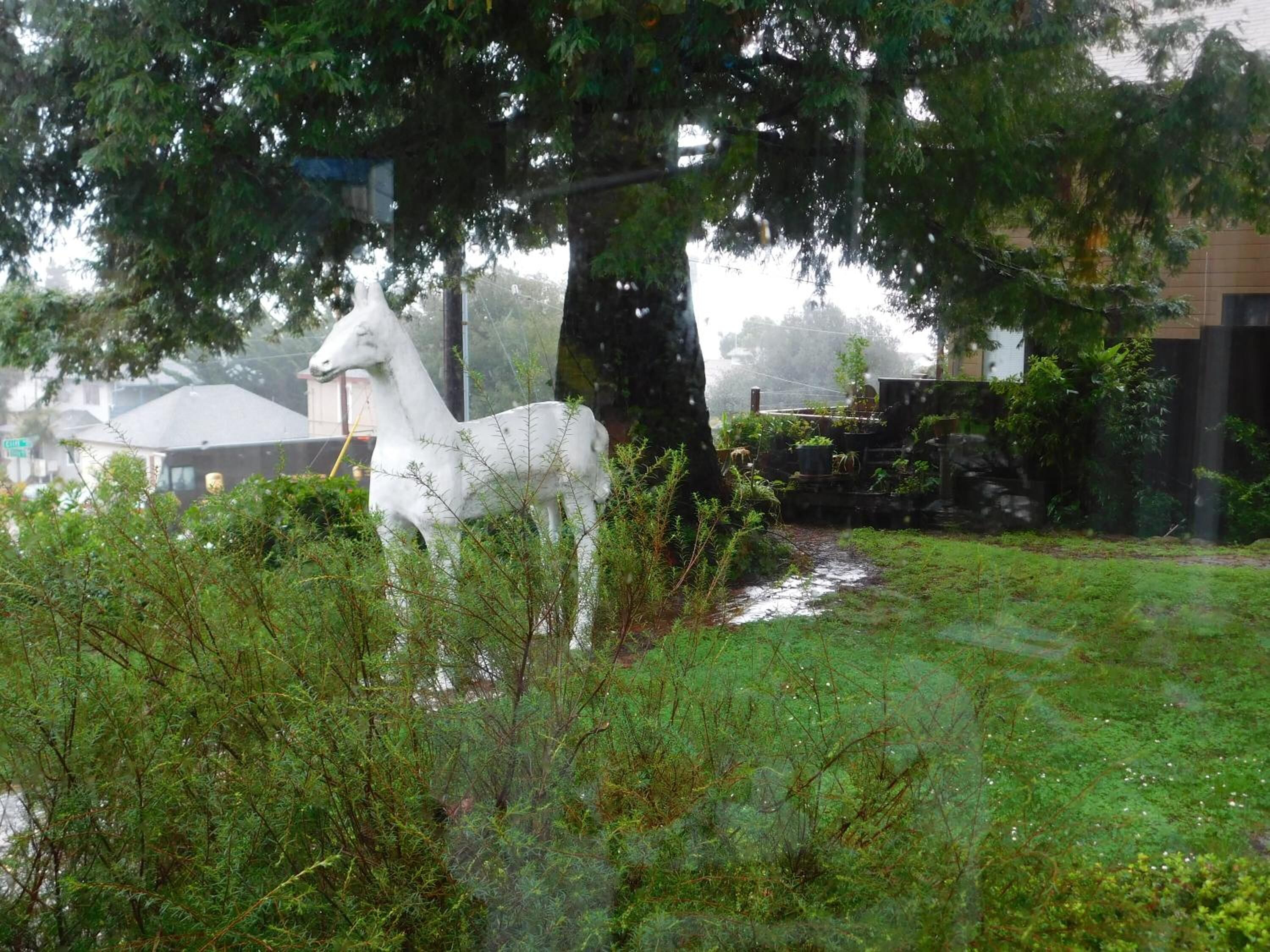 Una statua di un cavallo bianco in un giardino con vegetazione lussureggiante e un edificio sullo sfondo.
