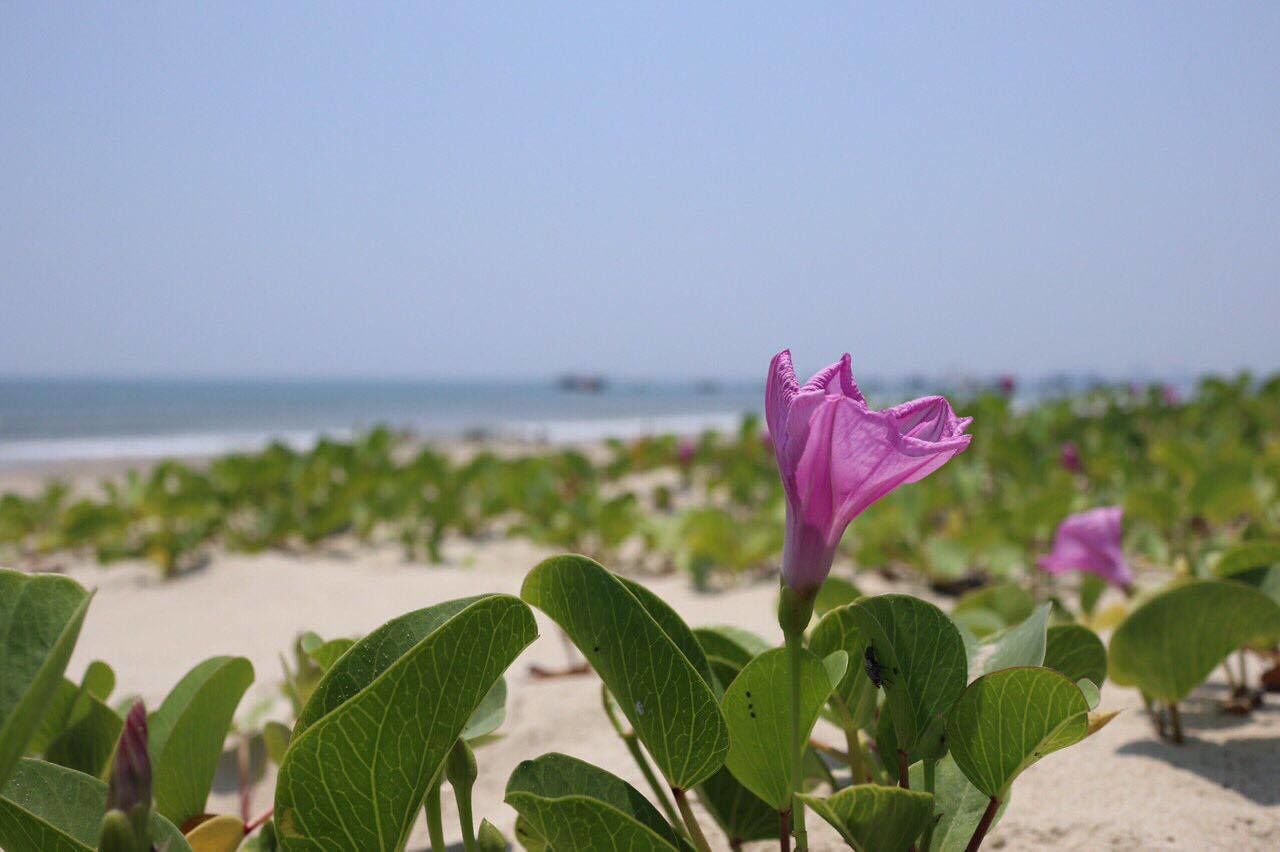 private beach, white sand, beach towels