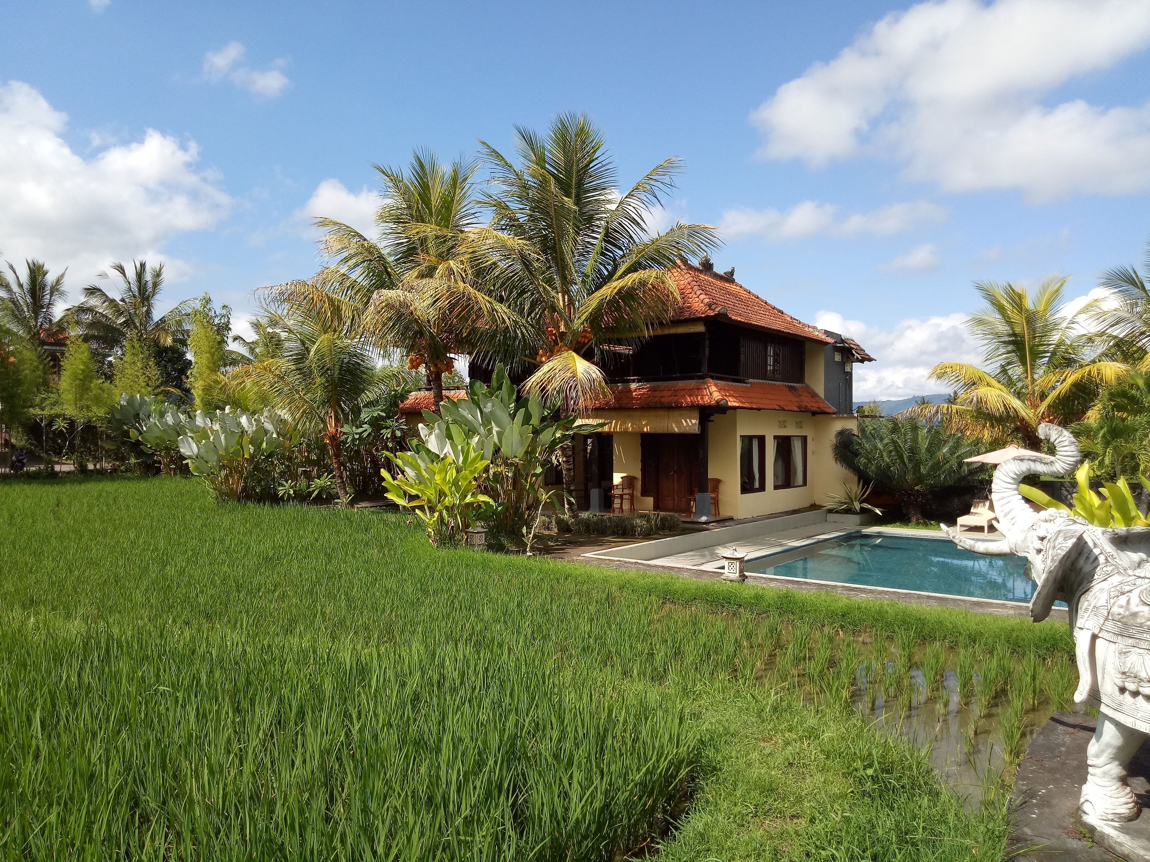 A two-story house with a tiled roof, surrounded by lush greenery and a swimming pool.