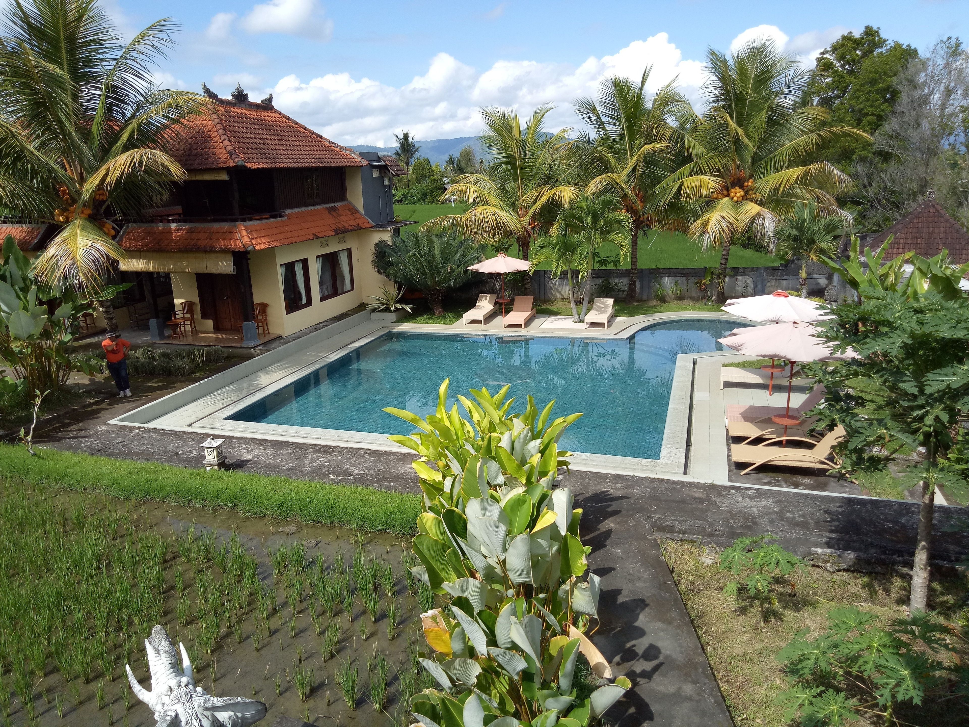 A swimming pool with lounge chairs and umbrellas, surrounded by palm trees and a house with a tiled roof.