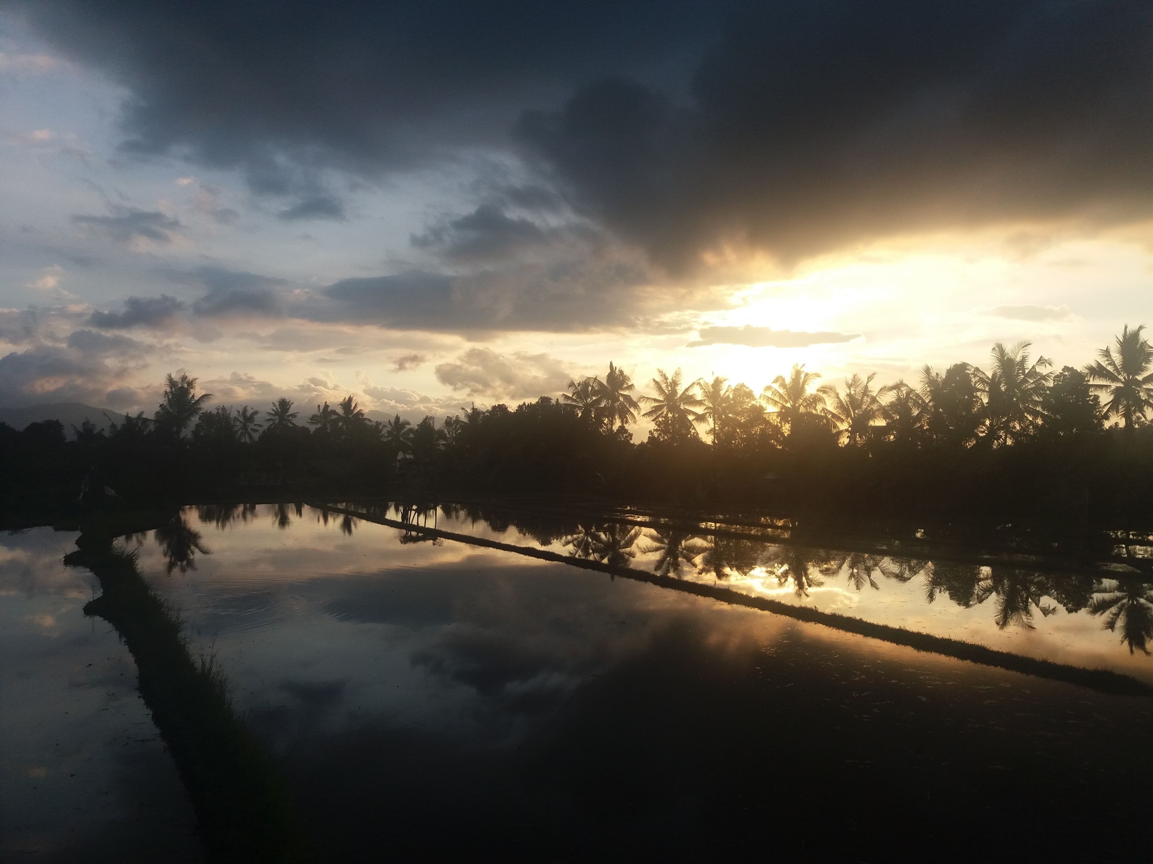 land view from property