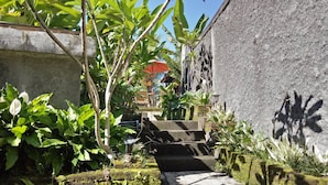 Un sendero estrecho bordeado por abundante vegetación y un muro de hormigón.