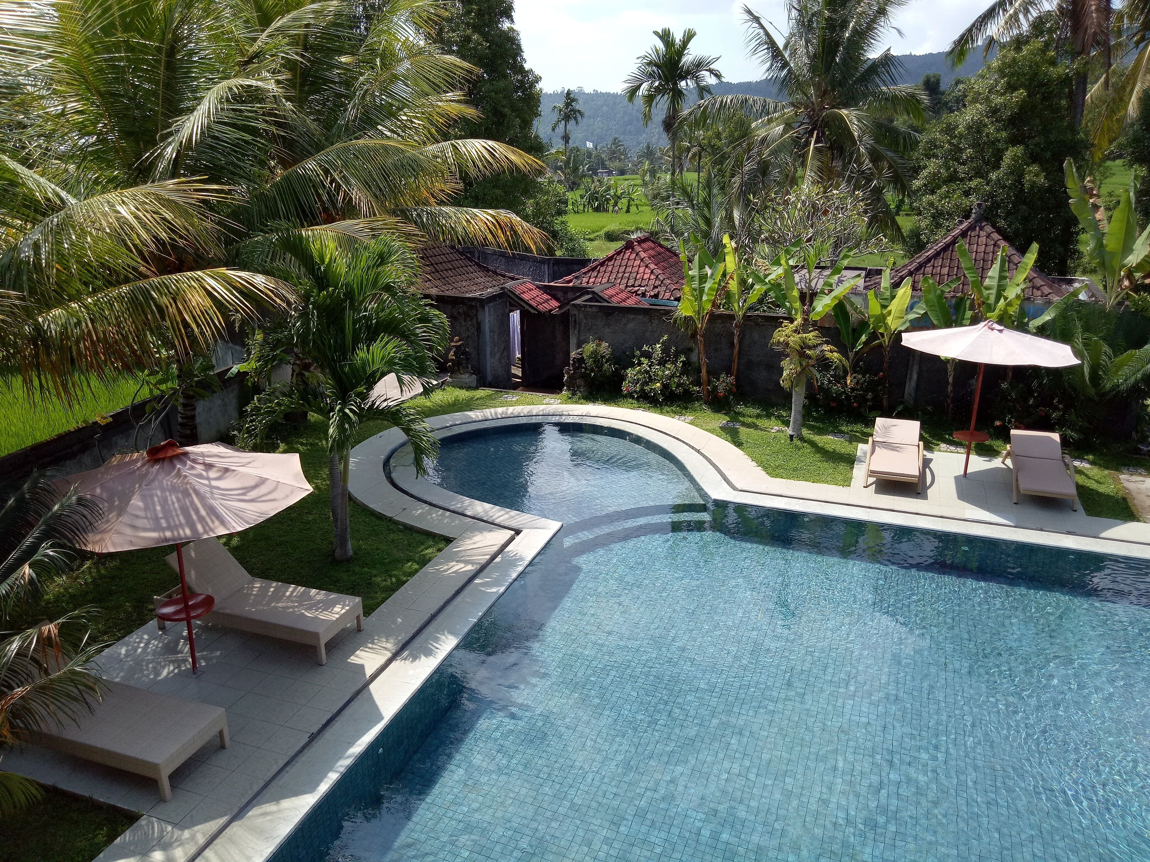 outdoor pool, pool loungers