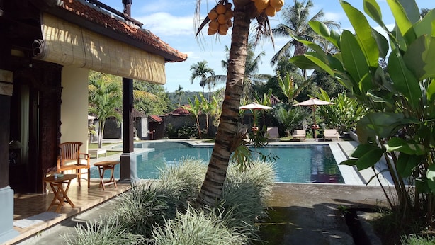 Un área de piscina con una palmera, sillones de descanso y una estructura con techo de paja.