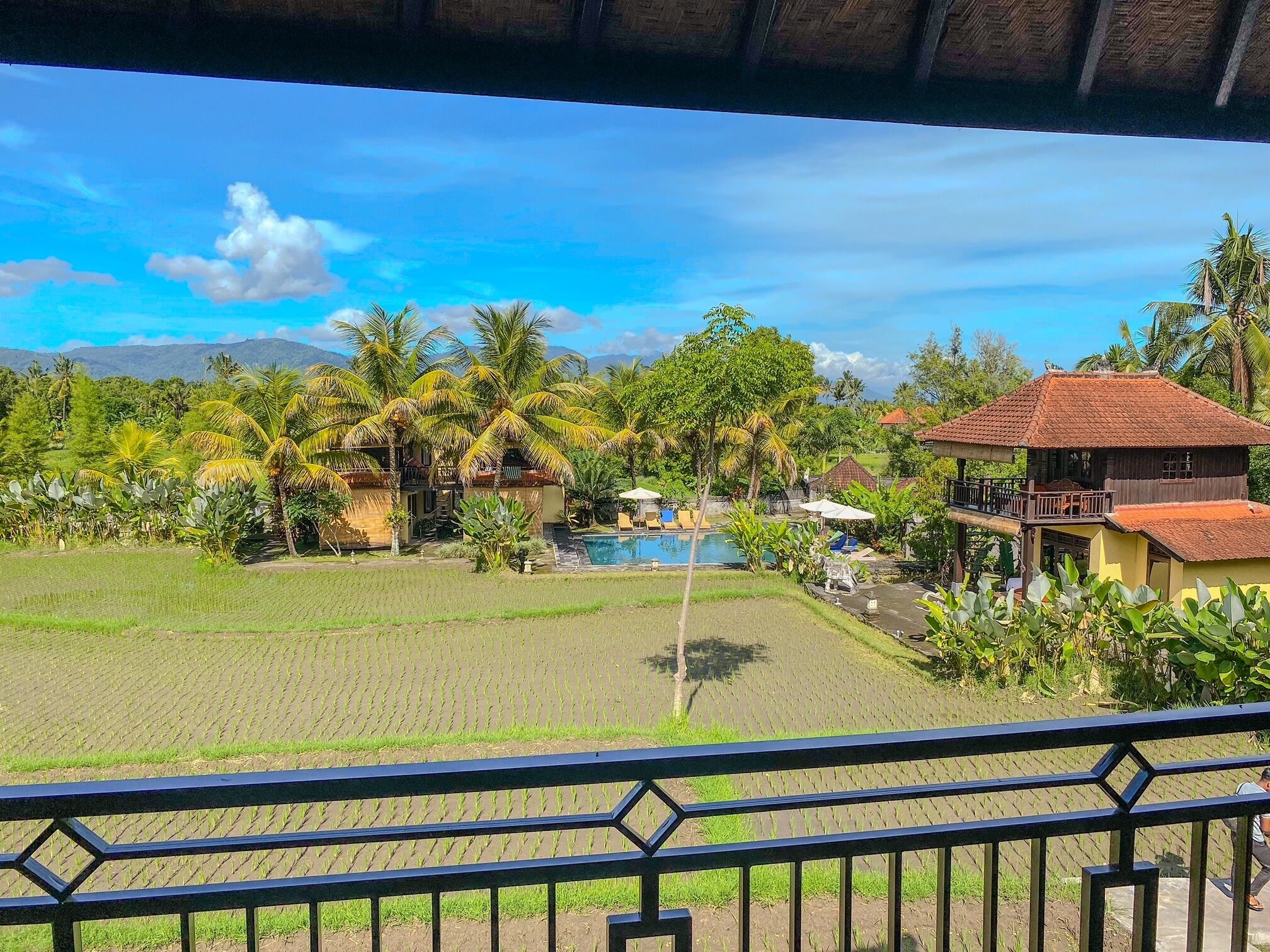 Deluxe Room | Terrace/patio