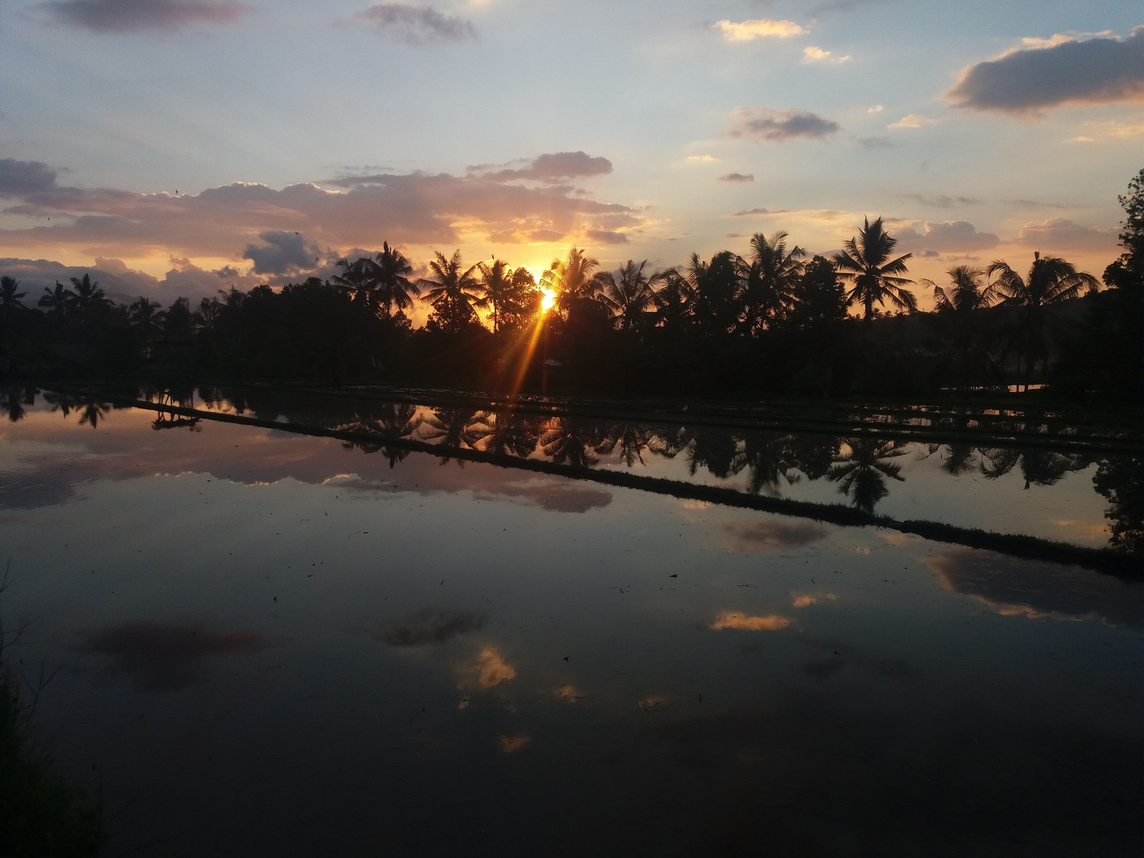 land view from property
