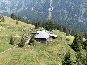 A mountain lodge with a sloped roof, surrounded by a forested landscape and rocky terrain. - Hotel Hammer (Schwarzenberg)