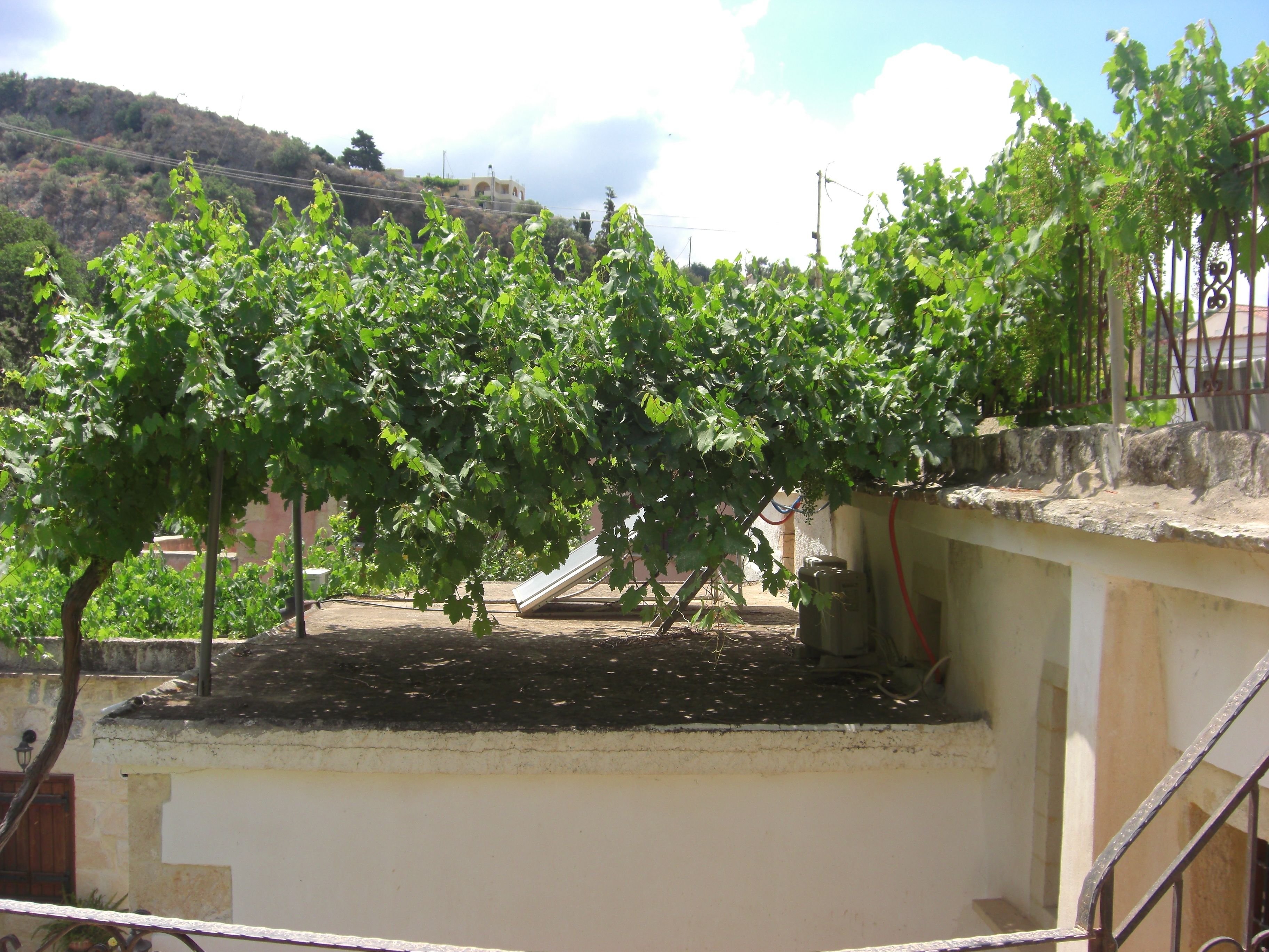 apartment, 1 bedroom, balcony, mountain view (katerina) | property grounds