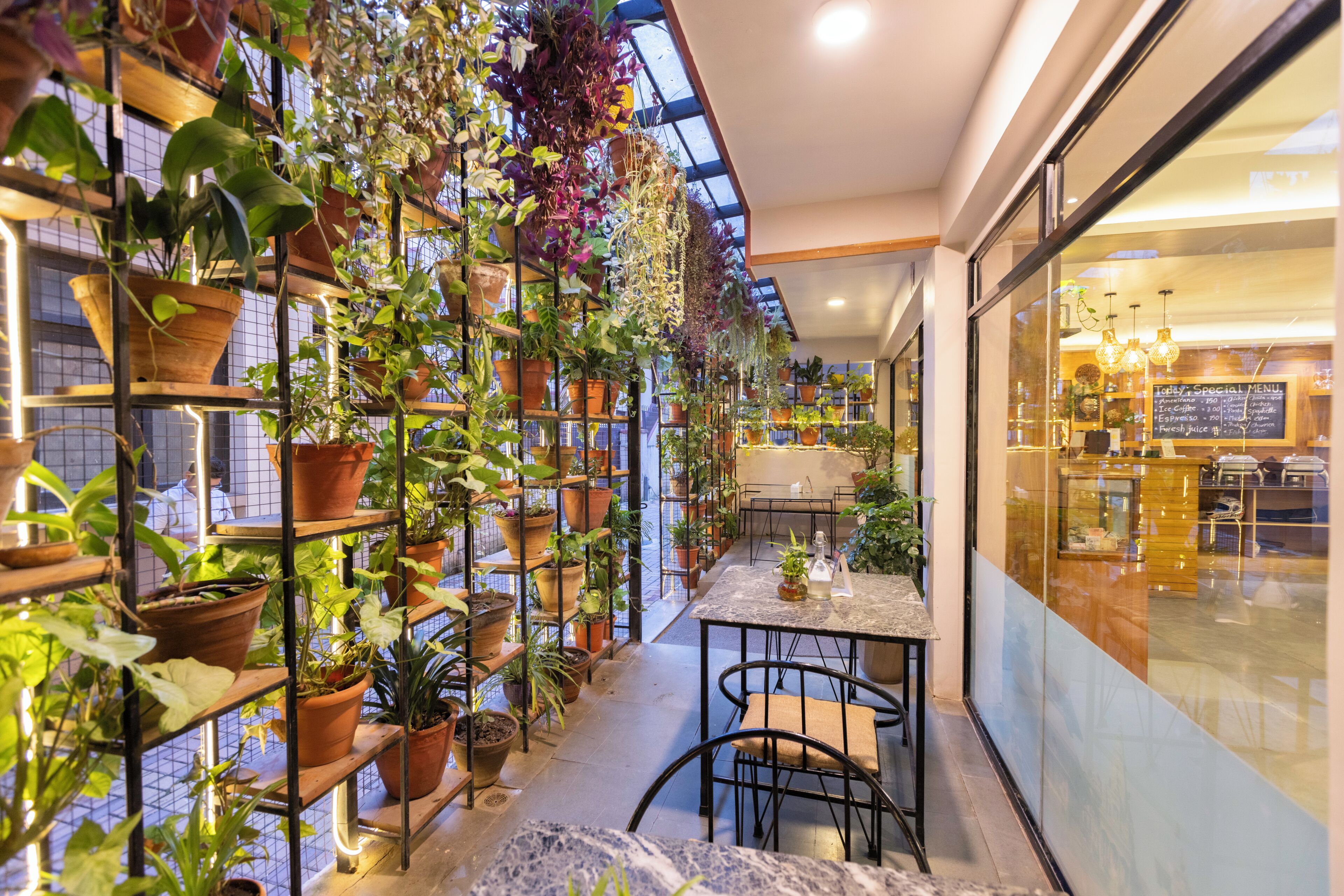 A narrow corridor with a variety of potted plants on shelves and hanging from the ceiling, leading to a seating area with a table and chairs.