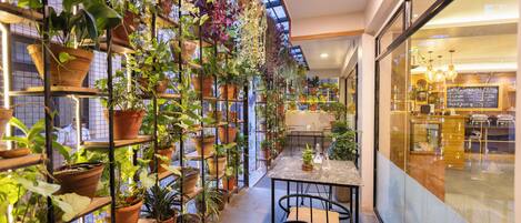 A narrow corridor with a variety of potted plants on shelves and hanging from the ceiling, leading to a seating area with a table and chairs.