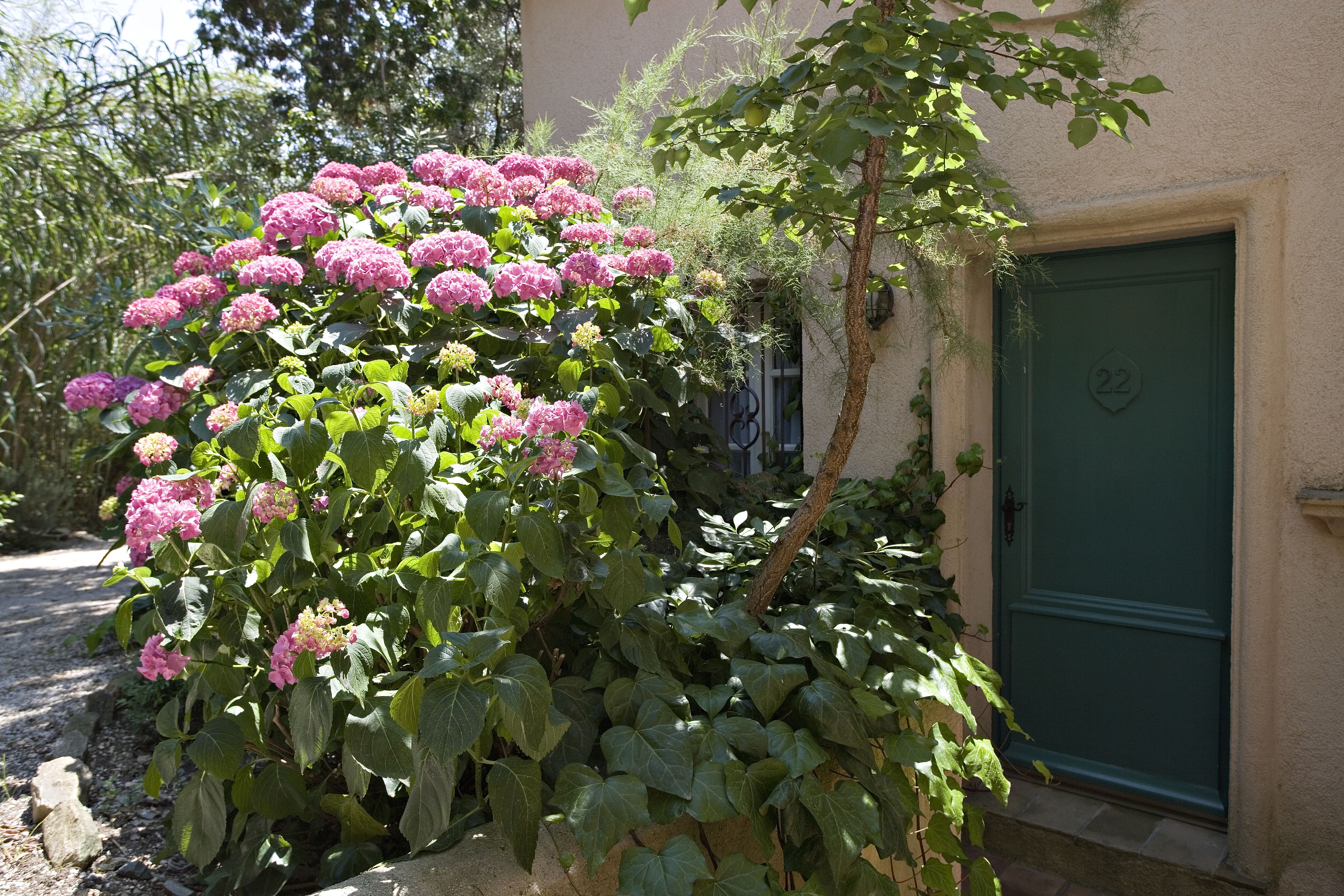family room pool | courtyard