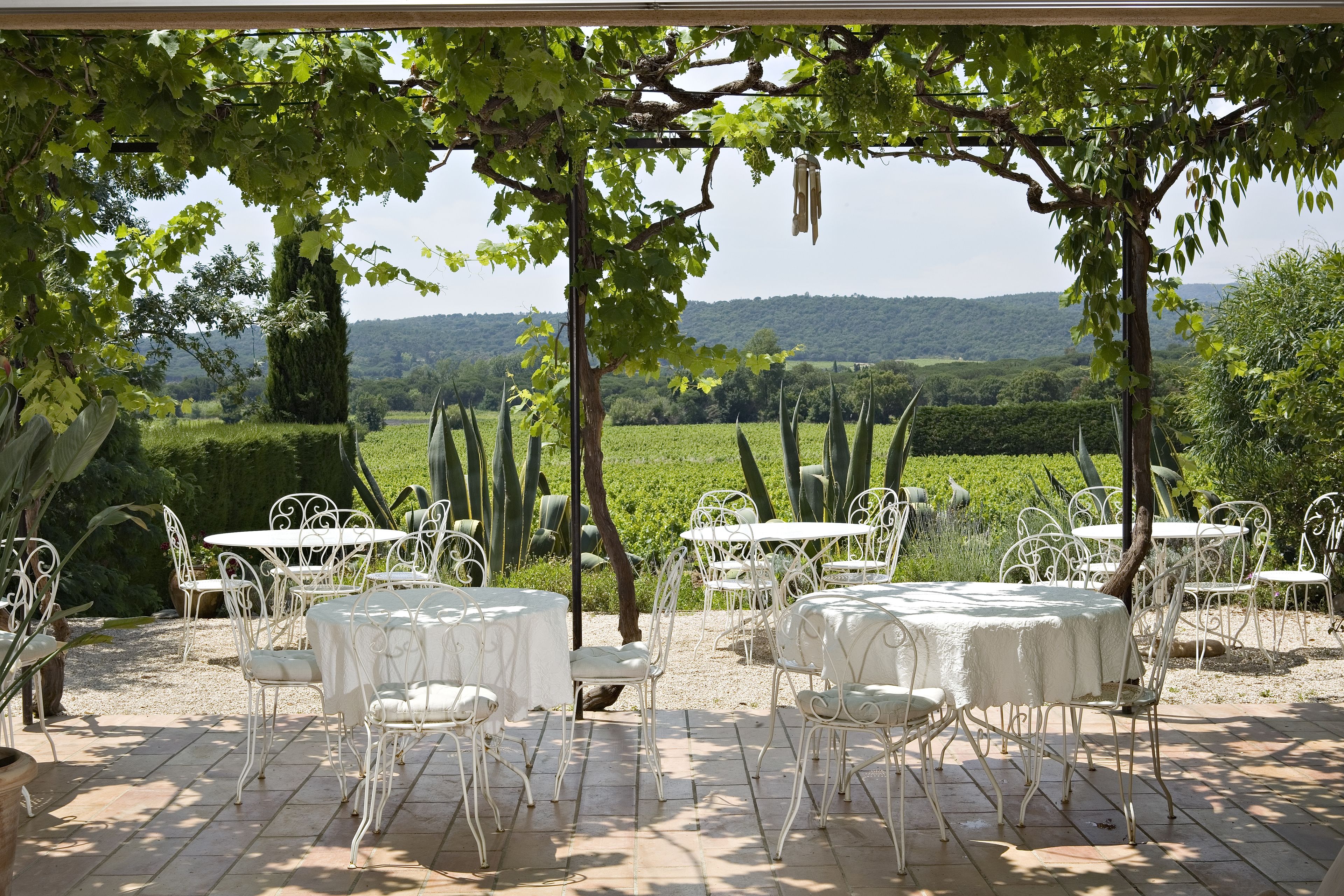 lunch and dinner served, mediterranean cuisine