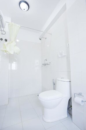Deluxe Double or Twin Room | Bathroom | Shower, free toiletries, hair dryer, towels