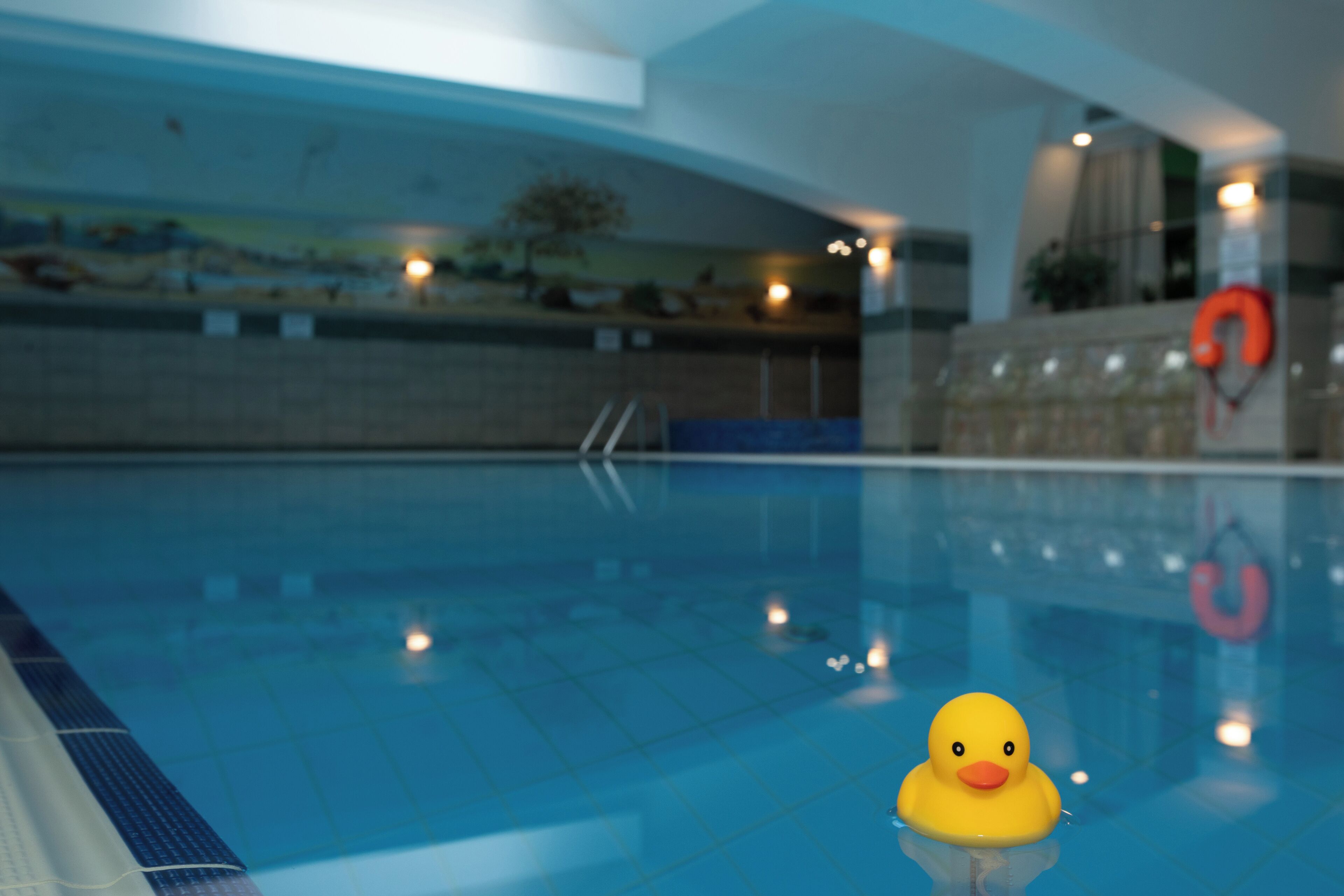 Indoor pool, open 8:00 AM to 8:00 PM, pool loungers